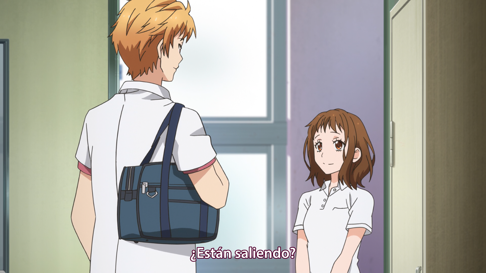 Zutto Mae kara Suki deshita.: Kokuhaku Jikkou Iinkai (Hoshizora)